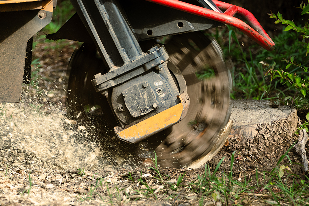 Picture of a stump grinder