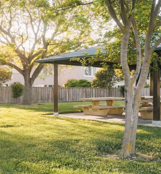 Maintain a perfect lawn and well maintained landscaping and trees for commercial and residential properties.