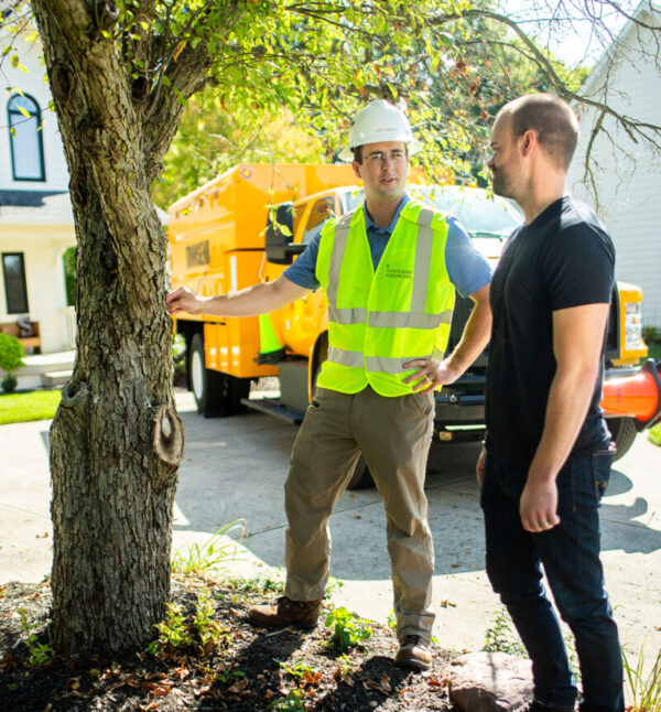 Towsend Arborcare can offer tree and plant consultation and planning as well as other services.