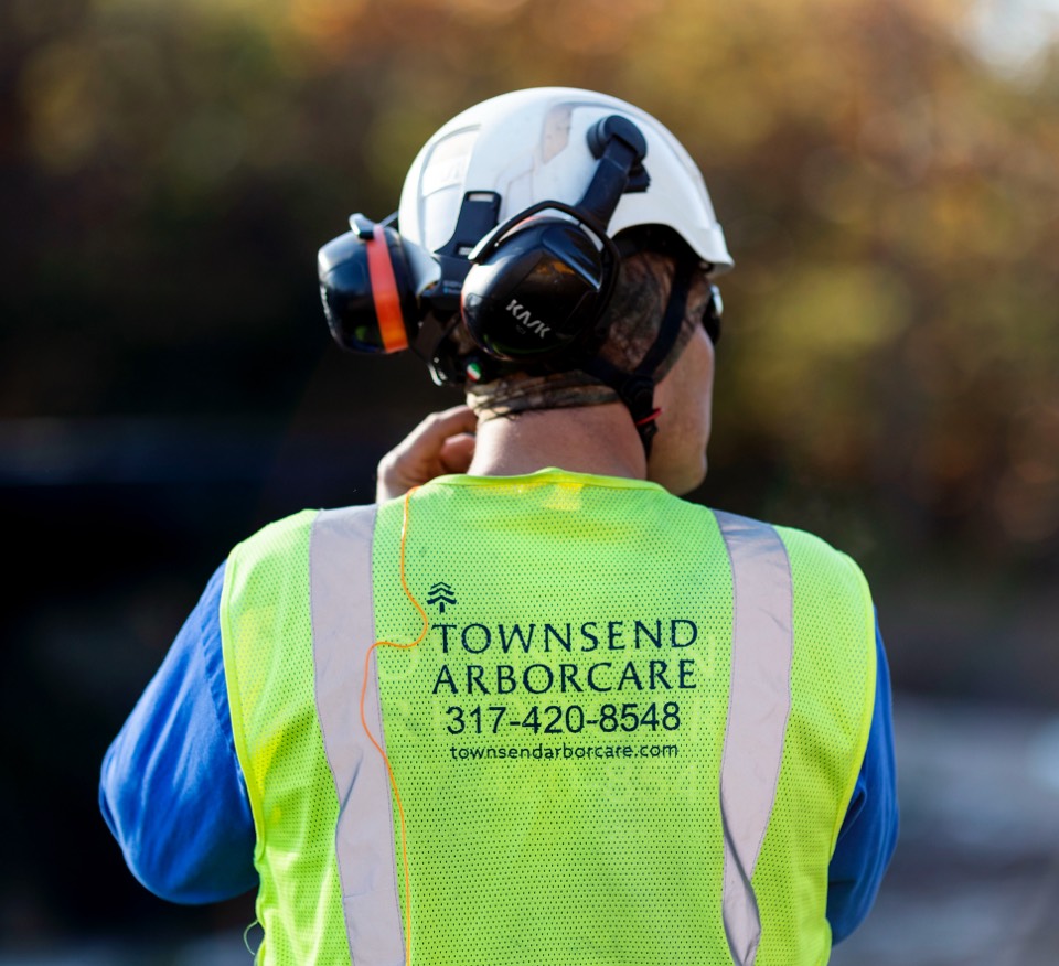 The expert arborists and tree doctors at Townsend Arborcare are ready to help service the trees all around your home.