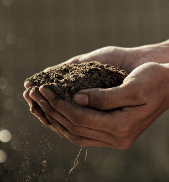 Townsend Arborcare has the experience and knowledge to keep the soil around your property healthy to encourage growth.