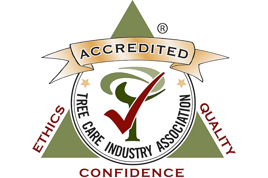 Townsend Arborcare tree care and trimming services are accredited by the Tree Care Industry Association.
