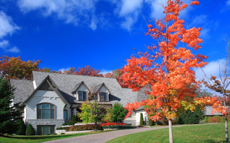 Your home needs regular professional tree trimming and plant health care from the professionals at Townsend Arborcare.