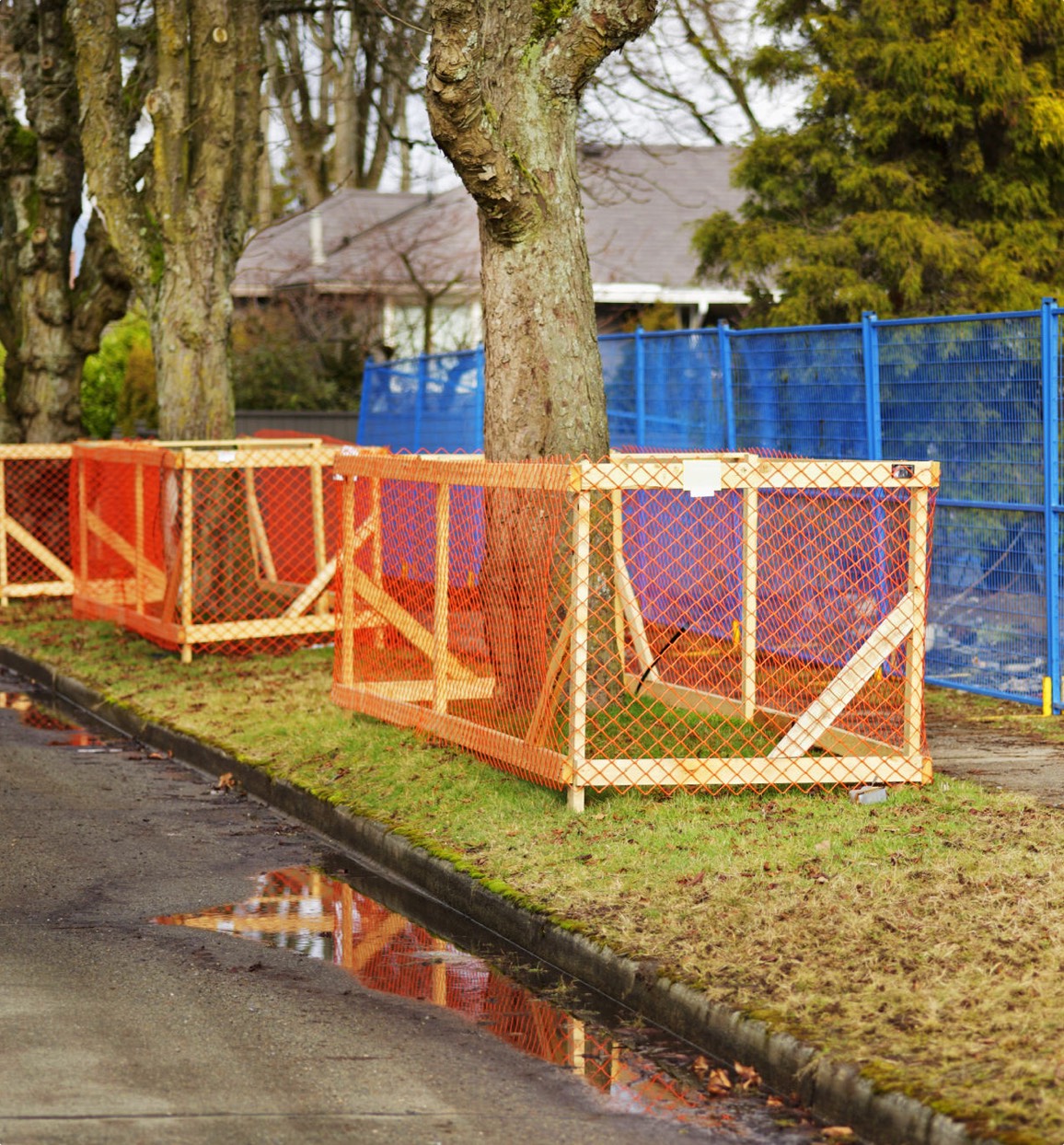 Townsend Arborcare can provide protection for trees during big construction projects and keep the trees healthy.