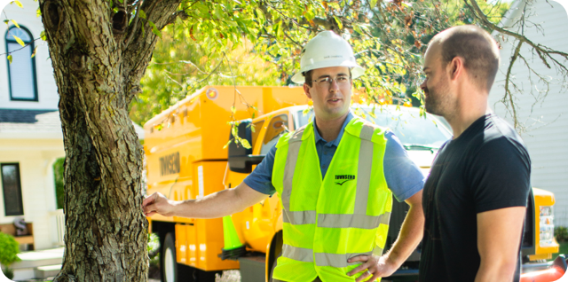 Towsend Arborcare can offer tree and plant consultation and planning as well as other services.