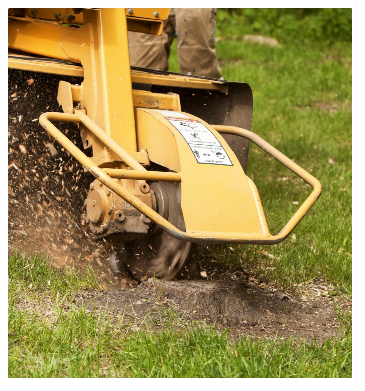 Townsend Arborcare can effectively remove tree stumps from cut down trees to improve the look of your landscaping.