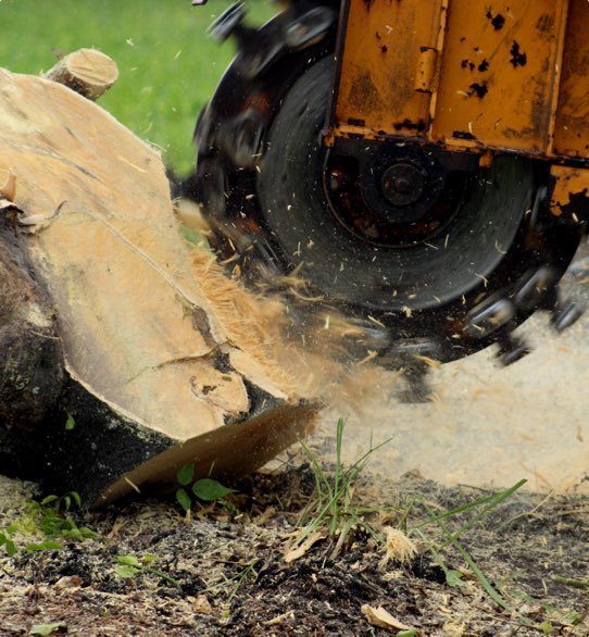 We have the right equipment to quickly remove tree stumps and other debris when it's needed around your home.