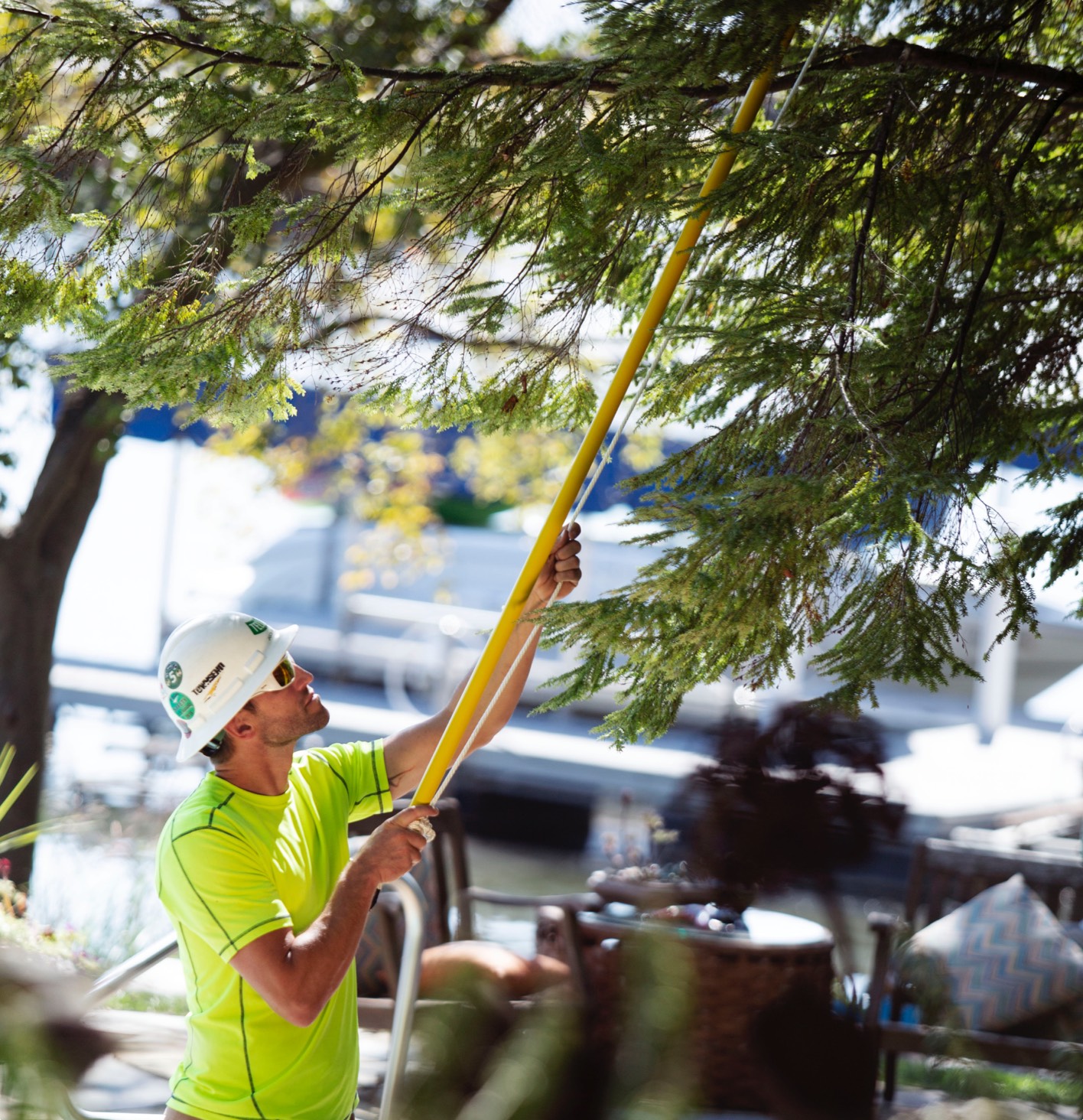 Professional and safe tree trimming services for your home available from the experts at Townsend Arborcare.