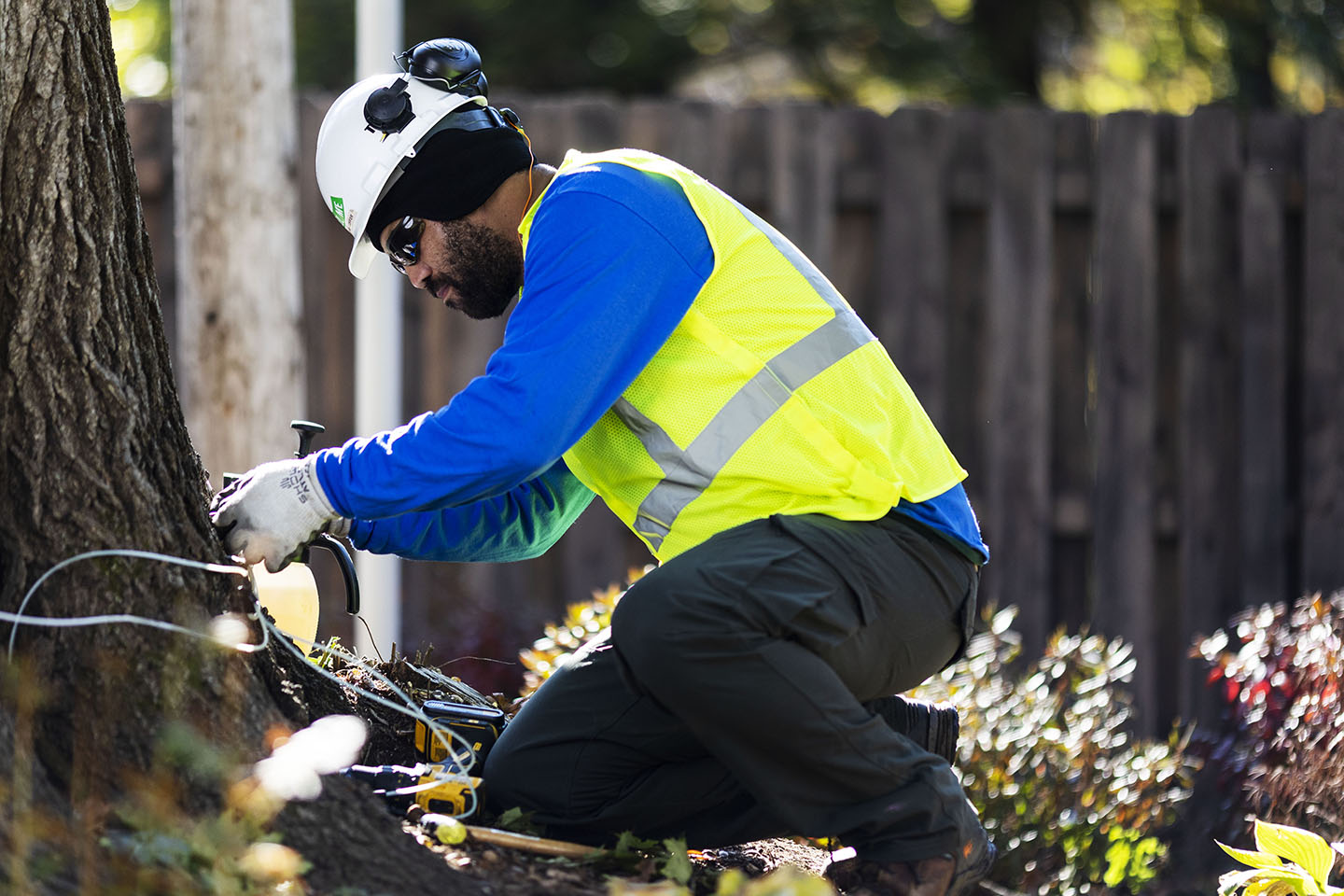 From top to bottom the arborists at Townsend Arborcare can keep your trees healthy.