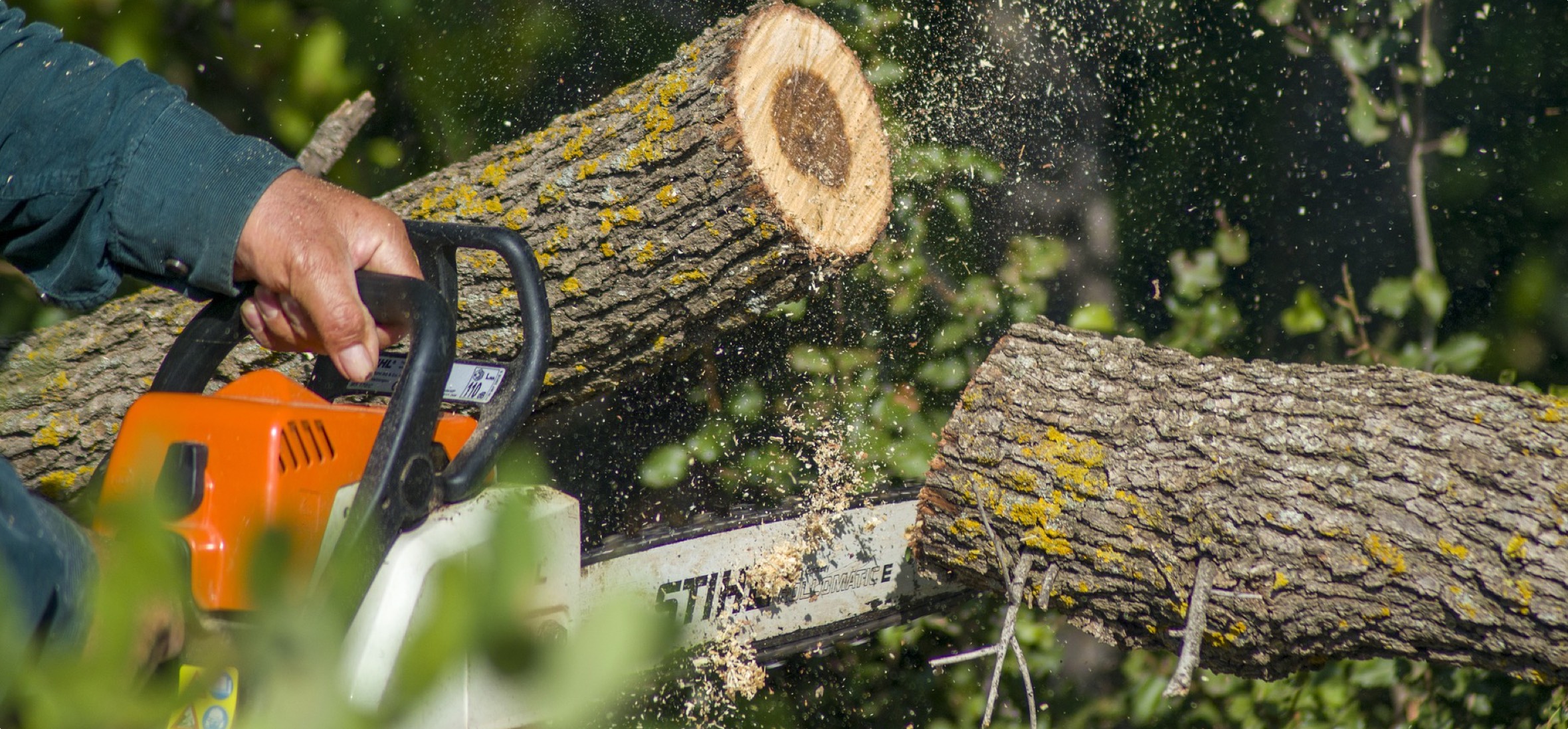 Towsend Arborcare offers a number of landscaping and tree trimming services from professional arborists.