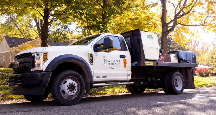Townsend Aborcare tree specialists are available to help your home maintain healthy plants and trees.